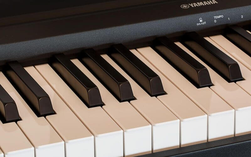 Yamaha vs Kawai digital pianos